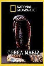 Watch National Geographic Cobra Mafia 123MoviesFree