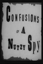 Watch Confusions of a Nutzy Spy 123MoviesFree