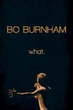 Watch Bo Burnham: what. 123MoviesFree
