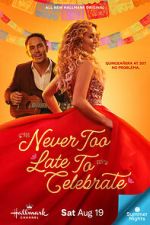 Watch Never Too Late to Celebrate 123MoviesFree