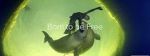 Watch Born to Be Free 123MoviesFree