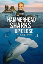 Watch Hammerhead Sharks Up Close with Bertie Gregory 123MoviesFree