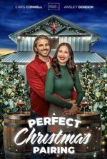 Watch A Perfect Christmas Pairing 123MoviesFree
