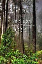 Watch National Geographic Kingdom of the Forest 123MoviesFree