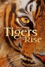 Watch Tigers on the Rise 123MoviesFree
