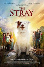 Watch The Stray 123MoviesFree
