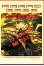 Watch SeeMoreBuds: Vol. 1 123MoviesFree