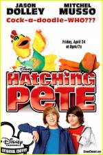Watch Hatching Pete 123MoviesFree