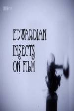 Watch Edwardian Insects on Film 123MoviesFree