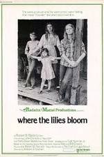Watch Where the Lilies Bloom 123MoviesFree