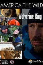 Watch National Geographic Wild America the Wild Wolverine King 123MoviesFree