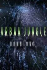 Watch National Geographic Wild Urban Jungle Downtown 123MoviesFree