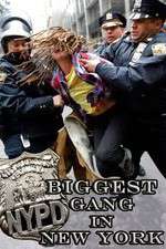 Watch NYPD: Biggest Gang in New York? 123MoviesFree