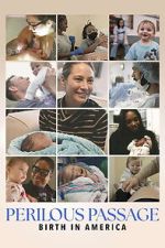 Watch Perilous Passage: Birth in America 123MoviesFree