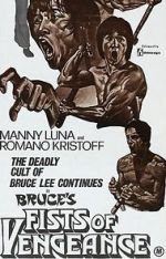 Watch Bruce\'s Fists of Vengeance 123MoviesFree