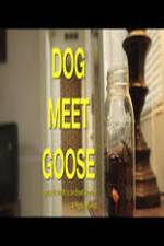 Watch Dog Meet Goose 123MoviesFree