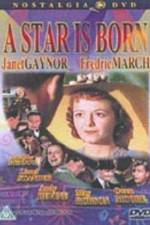 Watch A Star Is Born 123MoviesFree