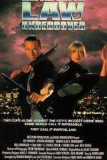 Watch Martial Law II: Undercover 123MoviesFree
