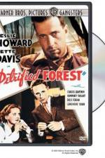 Watch The Petrified Forest 123MoviesFree
