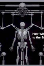 Watch How Wings Are Attached to the Backs of Angels 123MoviesFree