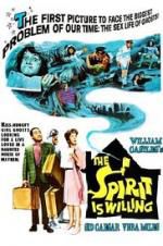 Watch The Spirit Is Willing 123MoviesFree