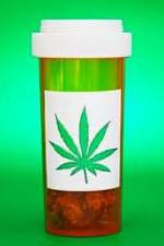 Watch Medicinal Cannabis and its Impact on Human Health 123MoviesFree