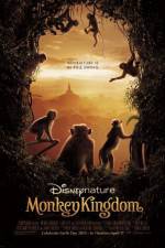 Watch Monkey Kingdom 123MoviesFree