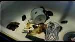 Watch Coup de lune (TV Short 2000) 123MoviesFree