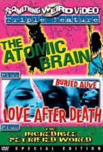 Watch Love After Death 123MoviesFree