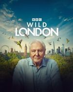Watch Wild London (TV Special 2026) 123MoviesFree