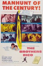 Watch The Brothers Rico 123MoviesFree