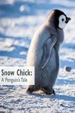 Watch Snow Chick: A Penguin's Tale 123MoviesFree