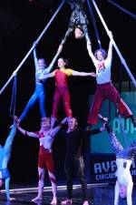 Watch Circus School 123MoviesFree