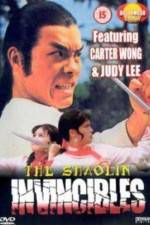 Watch Yong zheng ming zhang Shao Lin men 123MoviesFree