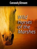 Watch Wild Horses of the Marshes 123MoviesFree