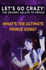 Watch Let\'s Go Crazy: The Grammy Salute to Prince 123MoviesFree