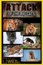 Watch National Geographic Attack Of The Big Cats 123MoviesFree