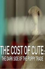 Watch The Cost of Cute: The Dark Side of the Puppy Trade 123MoviesFree