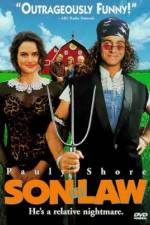Watch Son in Law 123MoviesFree