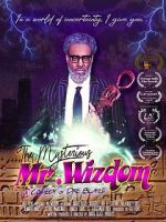 Watch The Mysterious Mr. Wizdom 123MoviesFree