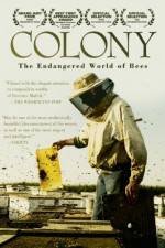 Watch Colony 123MoviesFree