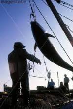 Watch National Geographic: Cheating Death Tuna Cowboys 123MoviesFree