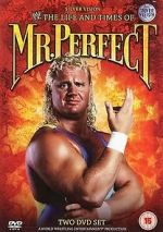 Watch The Life and Times of Mr. Perfect 123MoviesFree