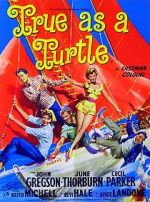 Watch True as a Turtle 123MoviesFree