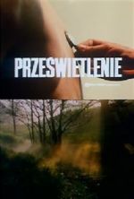 Watch Przeswietlenie 123MoviesFree