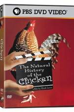 Watch The Natural History of the Chicken 123MoviesFree