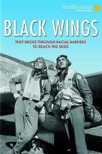 Watch Black Wings 123MoviesFree