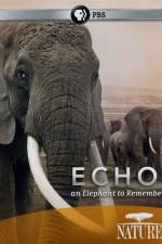 Watch Echo: An Elephant to Remember 123MoviesFree