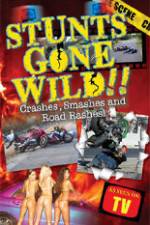 Watch Stunts Gone Wild: Crashes, Smashes & Road Rashes! 123MoviesFree