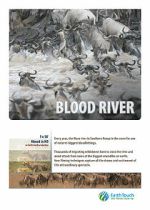 Watch Blood River Crossing 123MoviesFree